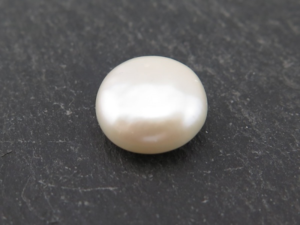 Freshwater Pearl Ivory Coin 12-13mm ~ Undrilled ~ SINGLE