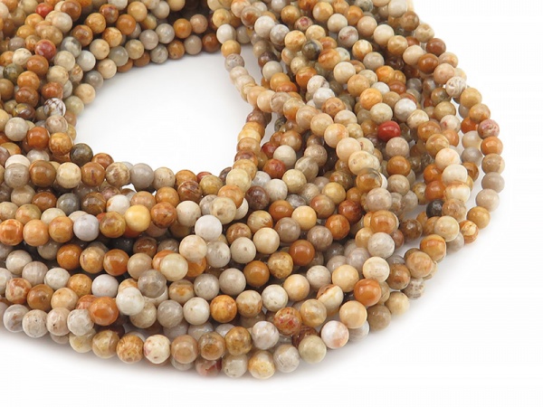 Fossil Coral Smooth Round Beads 4.5mm ~ 15'' Strand