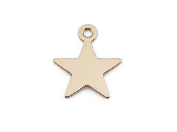 Gold Filled Star Charm 10mm