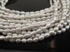 Freshwater Pearl Silver Grey Rice Beads ~ Various Sizes ~ 16'' Strand