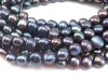 Freshwater Pearl Peacock Cross Drilled Beads 8.5-9mm ~ 15.5'' Strand