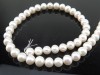 Freshwater Pearl Ivory Potato Beads 9mm ~ 15.5'' Strand