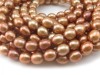 Freshwater Pearl Copper Gold Rice Beads 10-11mm ~ 16'' Strand