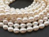 Freshwater Pearl Ivory Rice Beads 9-10mm ~ 16'' Strand