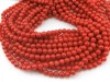 Bamboo Coral Smooth Round Beads 5.25mm ~ 16'' Strand