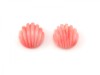 Pink Coral Carved Shell Cabochon 8mm ~ Half Drilled ~ PAIR