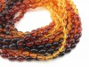 Amber Shaded Smooth Olive Beads ~ Various Sizes