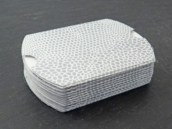 Pillow Box ~ Silver Lizard Skin ~ 6cm x 4cm