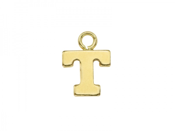 Gold Filled Alphabet Charm ~ T