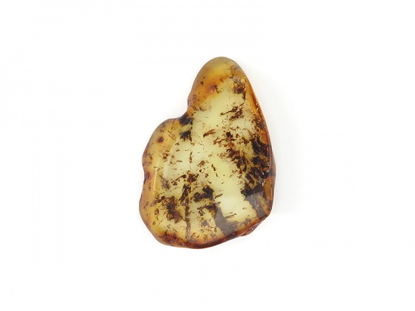 Amber Freeform Slice 35.5mm