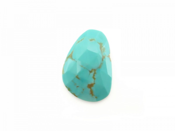 Golden Spiderweb Turquoise Rose Cut Slice 19.5mm