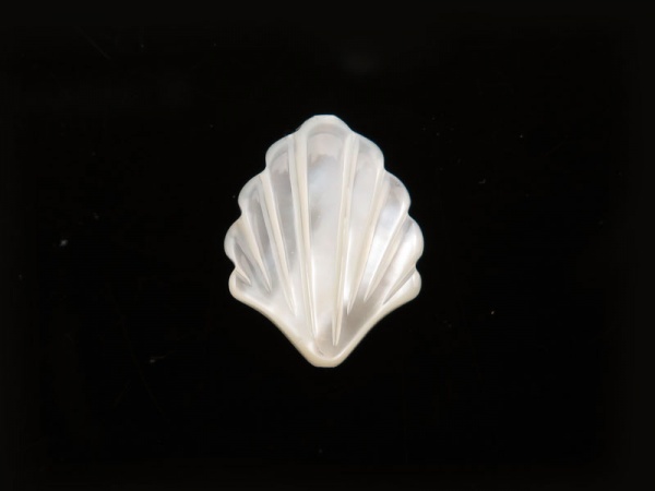 Mother of Pearl Shell Bead 15mm ~ SINGLE