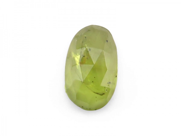 Peridot Rose Cut Slice 13.25mm