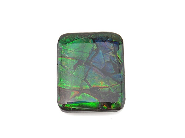 Ammolite Gemstones | The Curious Gem