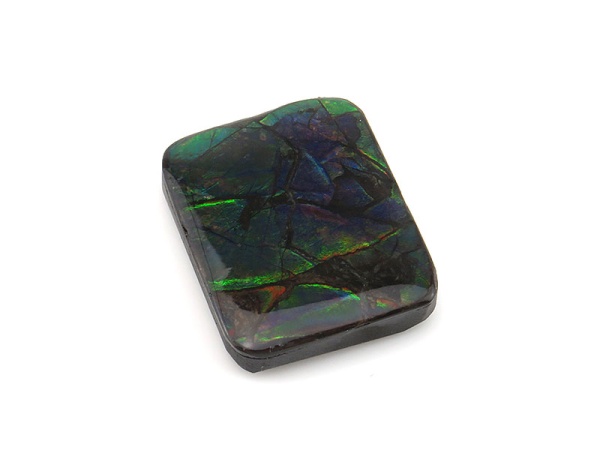 Ammolite Gemstones | The Curious Gem