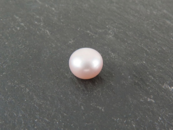 Freshwater Pearl Rose Button ~ Various Sizes ~ Half Drilled ~ SINGLE