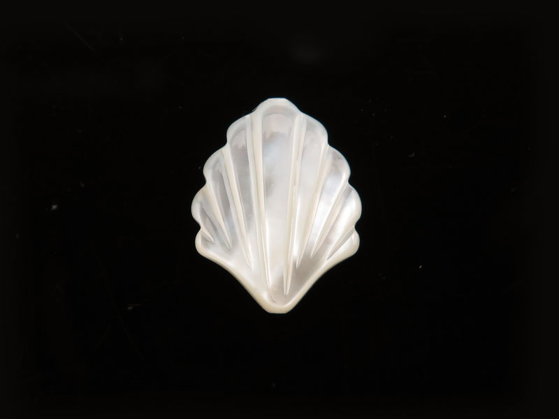 Mother of Pearl Shell Bead 15mm ~ SINGLE